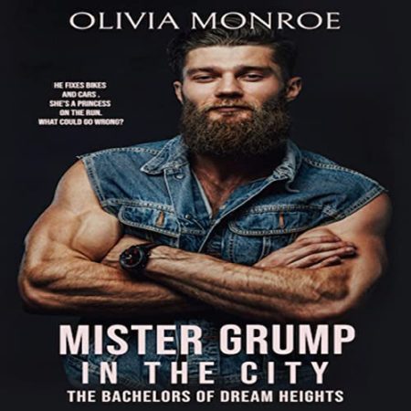 Mister Grump in the City: The Bachelors of Dream Heights